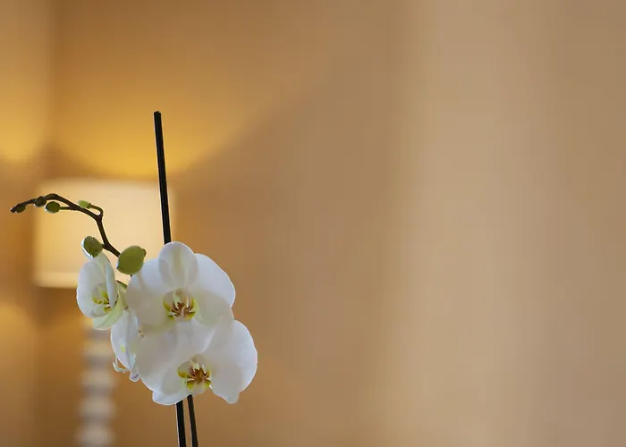 ゲストハウス Aurum 4*